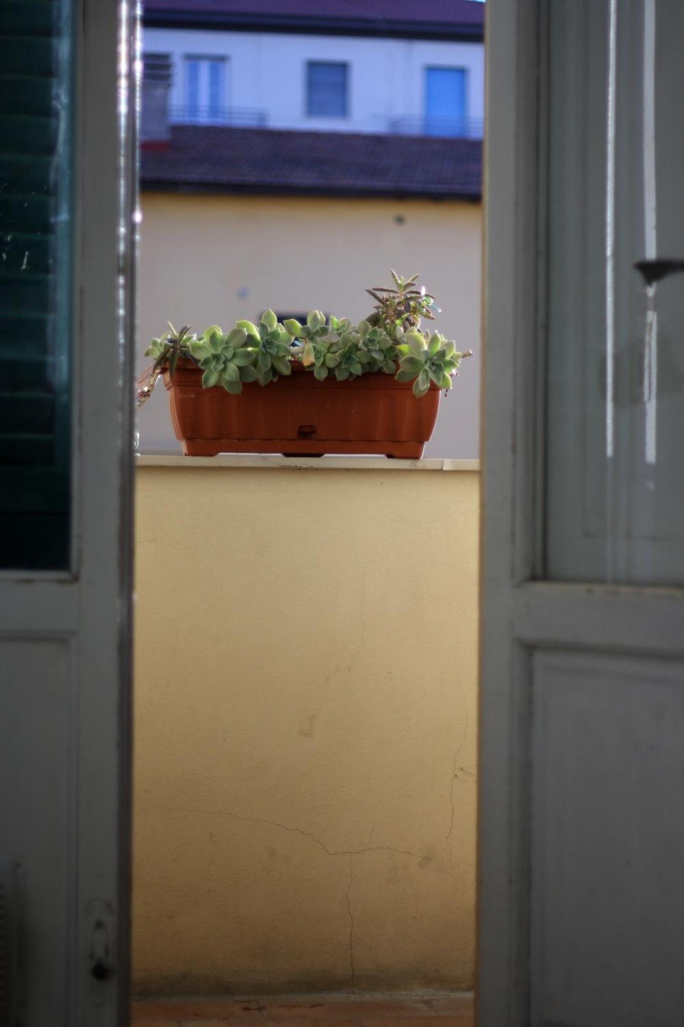 A Due Passi Dal Treno Apartment ปิซา ภายนอก รูปภาพ